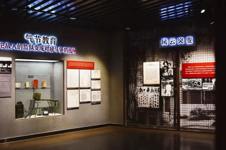 为什么选择特定品牌的篮球训练设备_0